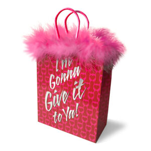 GB I'm Gonna Give is a great gift bag for the sexy gift your buying for them!