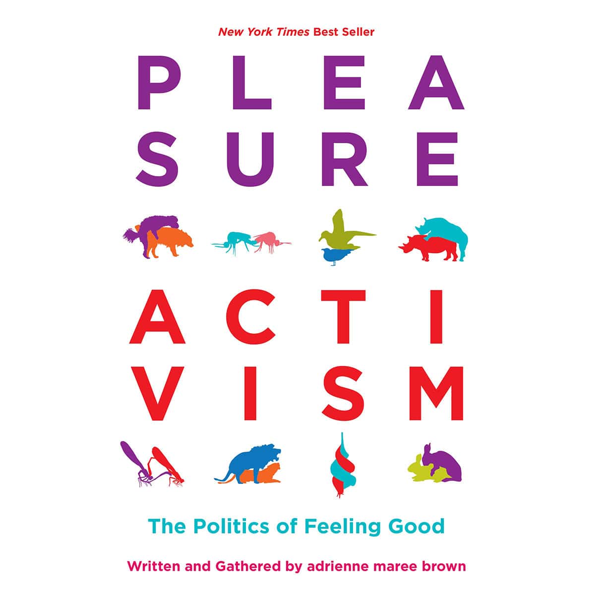 Buy The Politics of Feeling Good Pleasure Activism book for her.