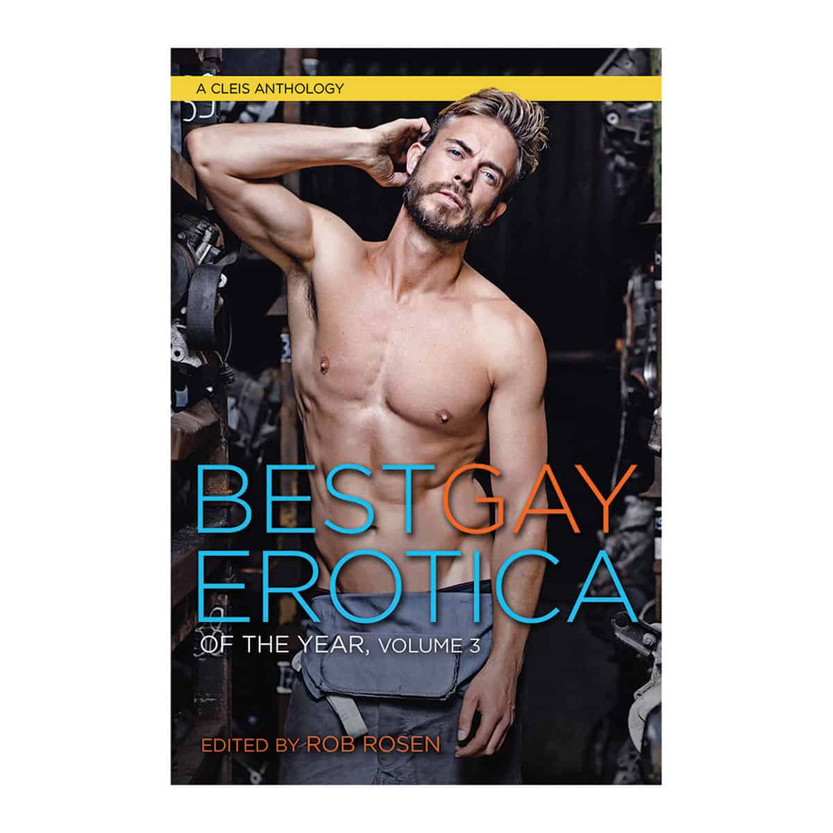 Buy  Best Gay Erotica of the Year  Volume 3 book for her.