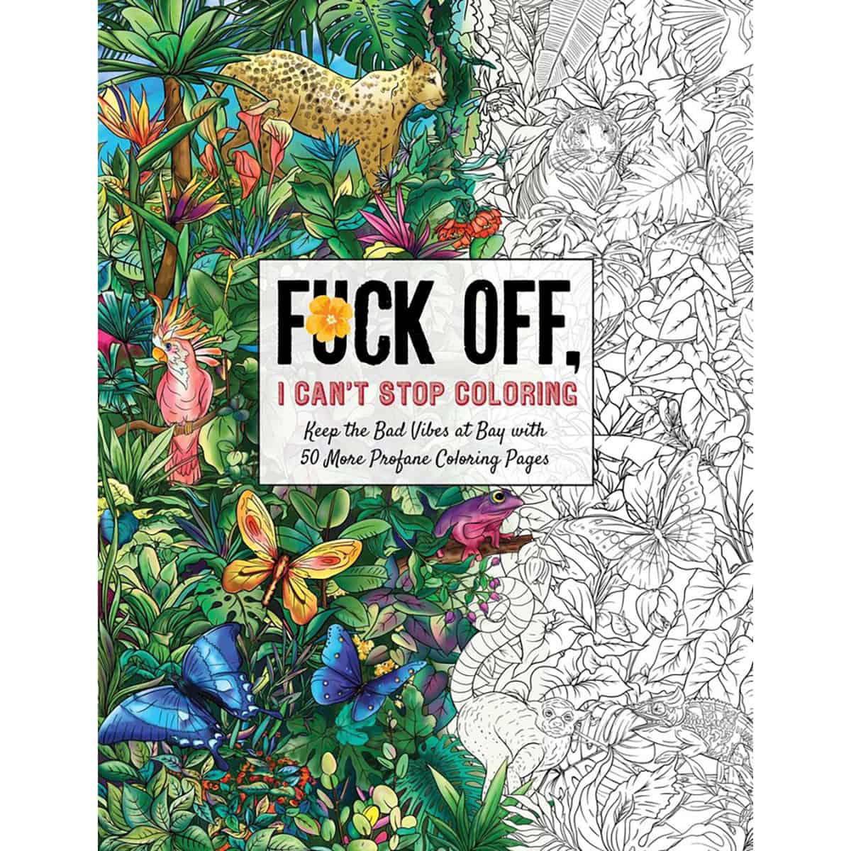Buy  Fuck Off  I Can't Stop Coloring Book book for her.