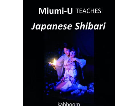 Buy  miumi u teaches japanese shibari book for her.