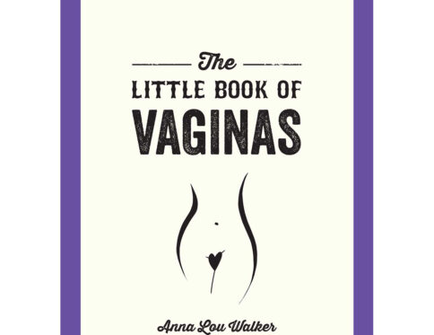 Buy everything you need to know the little book of vaginas book for her.