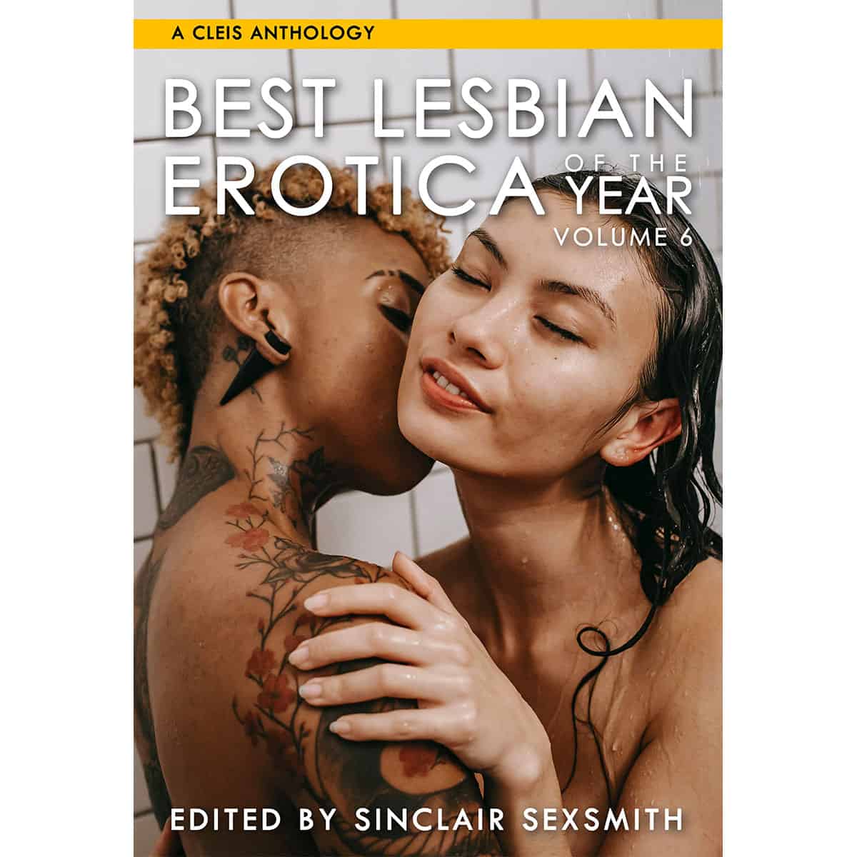 Buy Edited by Sinclair Sexsmith Best Lesbian Erotica of the Year Volume 6 book for her.