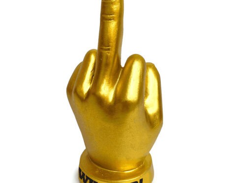 Buy  golden f u finger trophy book for her.