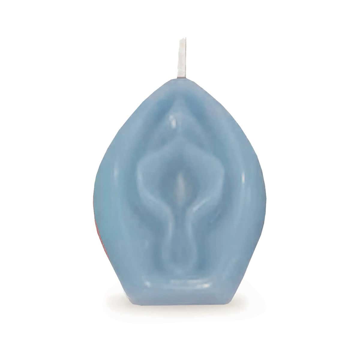 Buy  Eden's Vagina Candle Blue book for her.