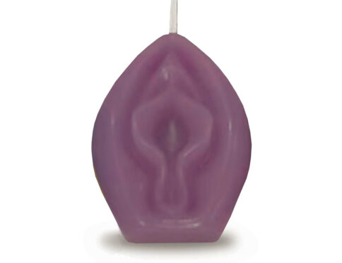 Buy  eden's vagina candle eggplant book for her.