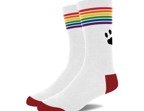 Buy  prowler pride socks white book for her.