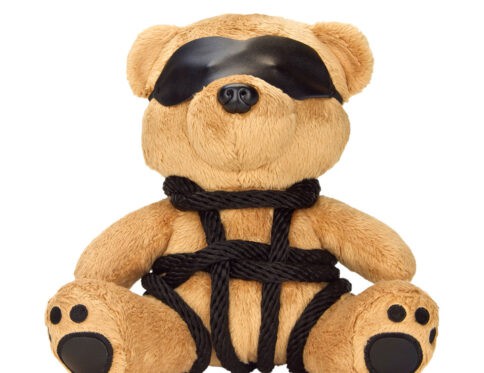 Buy  bondage bearz bound up bill book for her.