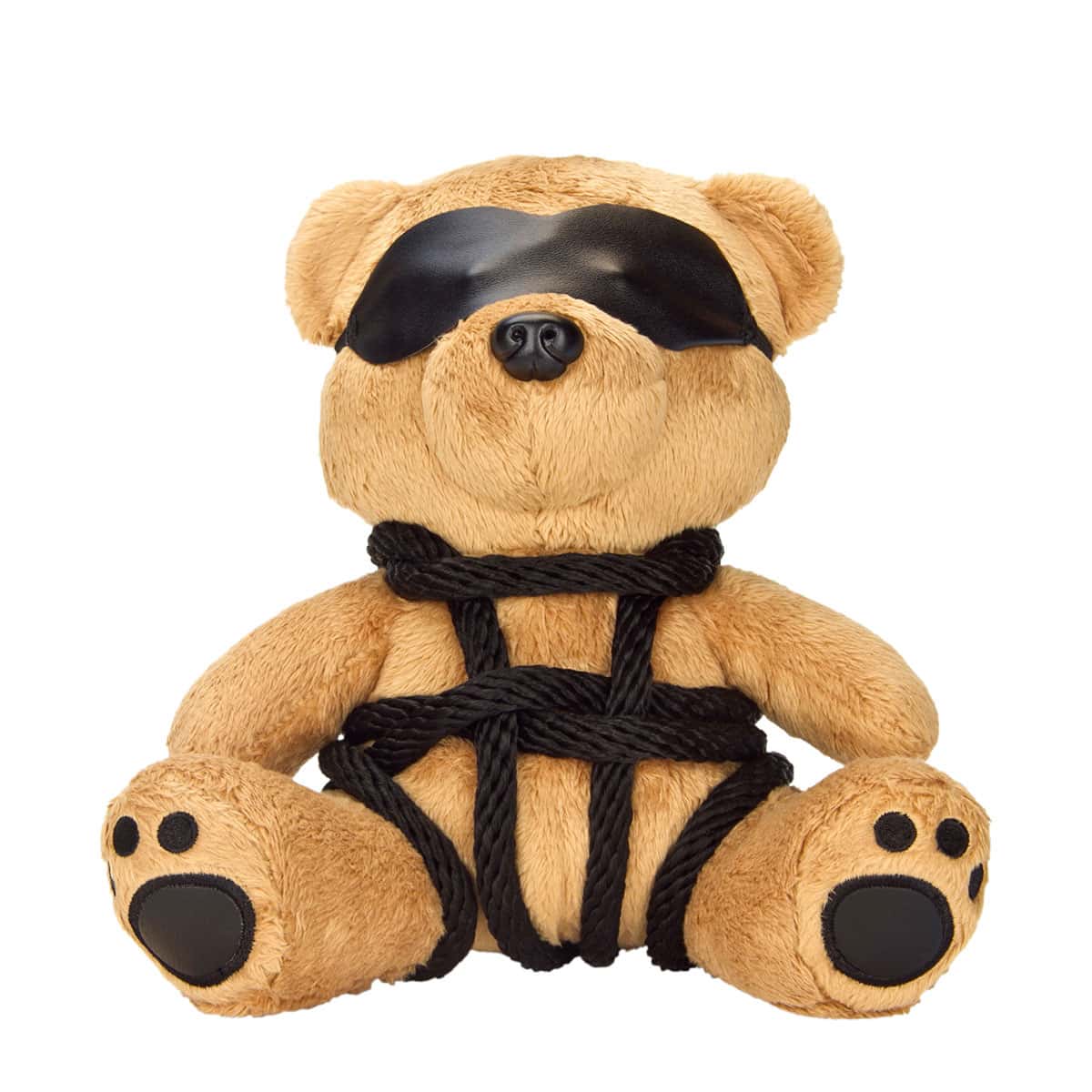 Buy  Bondage Bearz Bound Up Bill book for her.