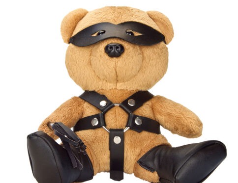 Buy  bondage bearz freddie flogger book for her.