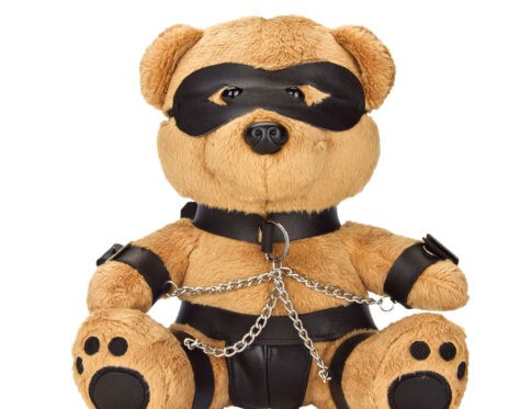 Buy  bondage bearz charlie chains book for her.