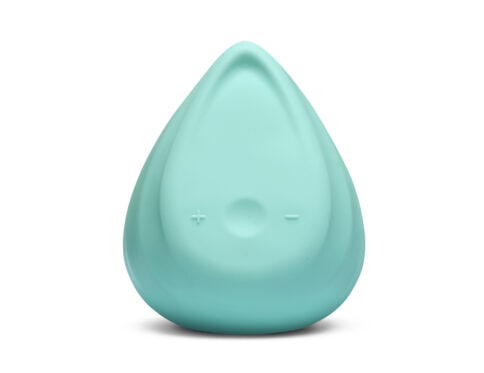 Buy a biird evii  mint green vibrator.