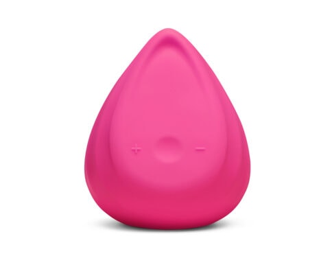 Buy a biird evii  rose berry vibrator.