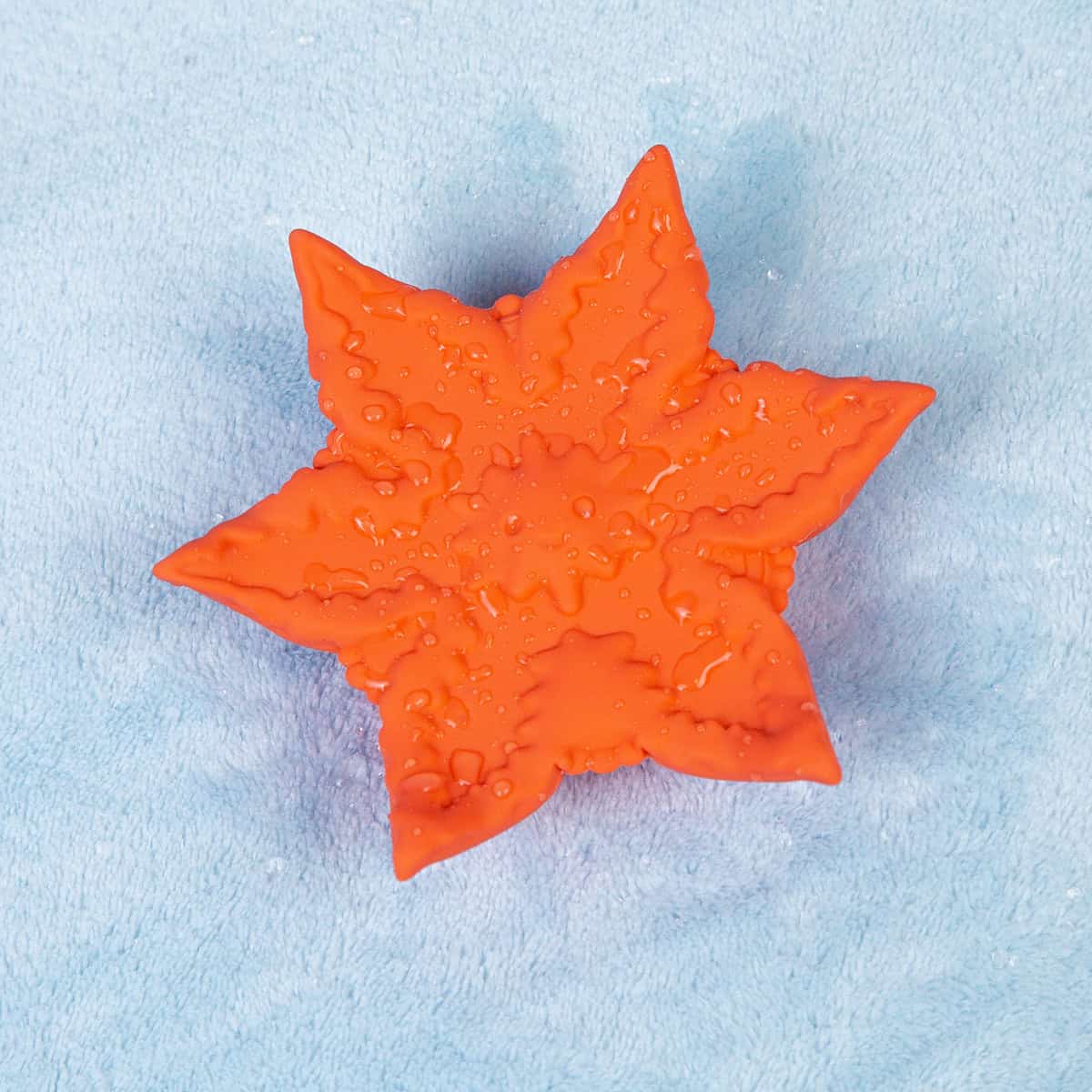 Cute Little Fuckers Starsi Shop Online Buy a cute little fuckers starsi coral vibrator.