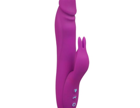 Buy a femme funn booster rabbit  purple vibrator.