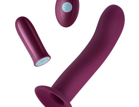 Buy a femme funn versa s  sleeve and bullet vibrator.