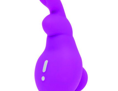 Buy a happy rabbit clitoral vibe  purple vibrator.