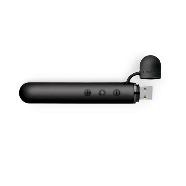 Buy a Le Wand Chrome Baton  Black vibrator.