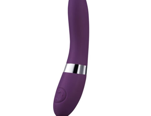 Buy a lelo elise 2  plum vibrator.