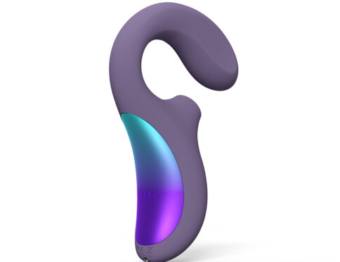 Buy a lelo enigma wave suction dual stim purple vibrator.