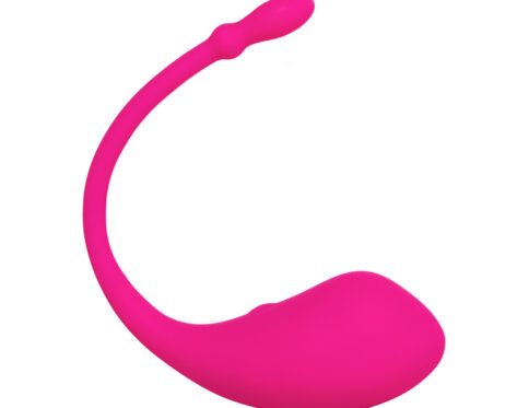 Buy a lovense lush egg vibrator vibrator.
