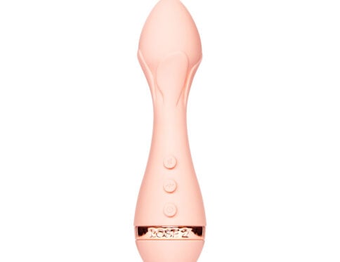 Buy a vush rose 2 precision bullet vibrator vibrator.