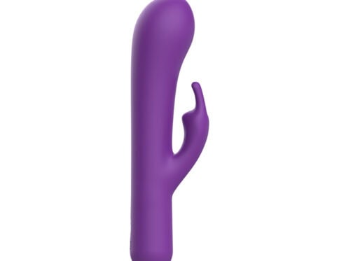 Buy a b swish bwild bunny infinite deluxe purple vibrator.