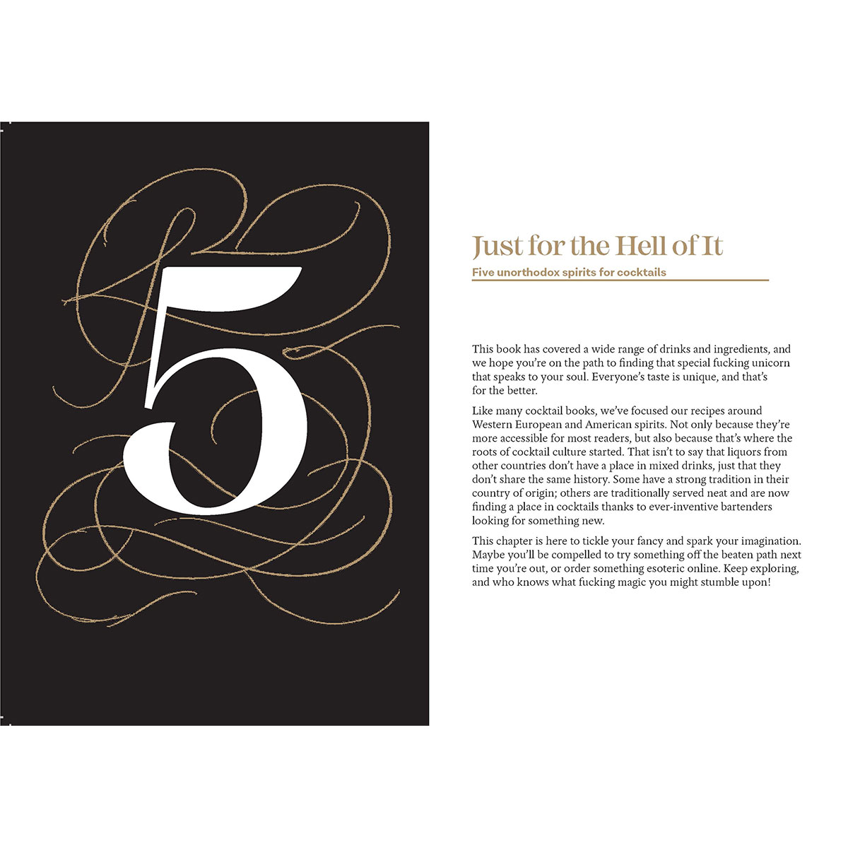 Buy  Classy as Fuck Cocktails book for her.