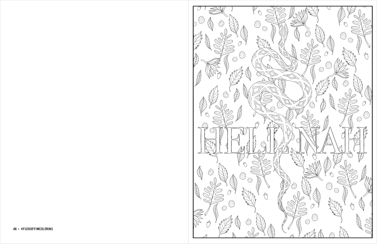 Buy  Fuck Off, I'm STILL Coloring Coloring Book book for her.