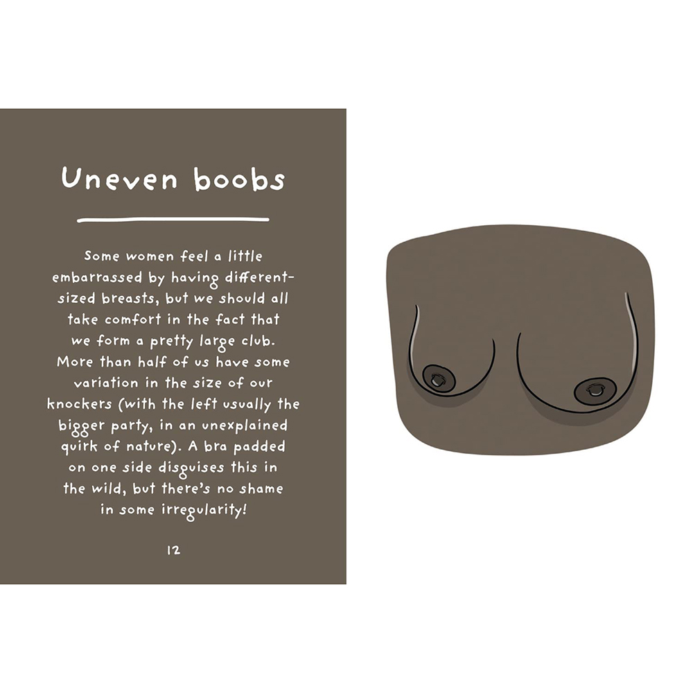 Buy  The Joy of Boobies: A Celebration book for her.