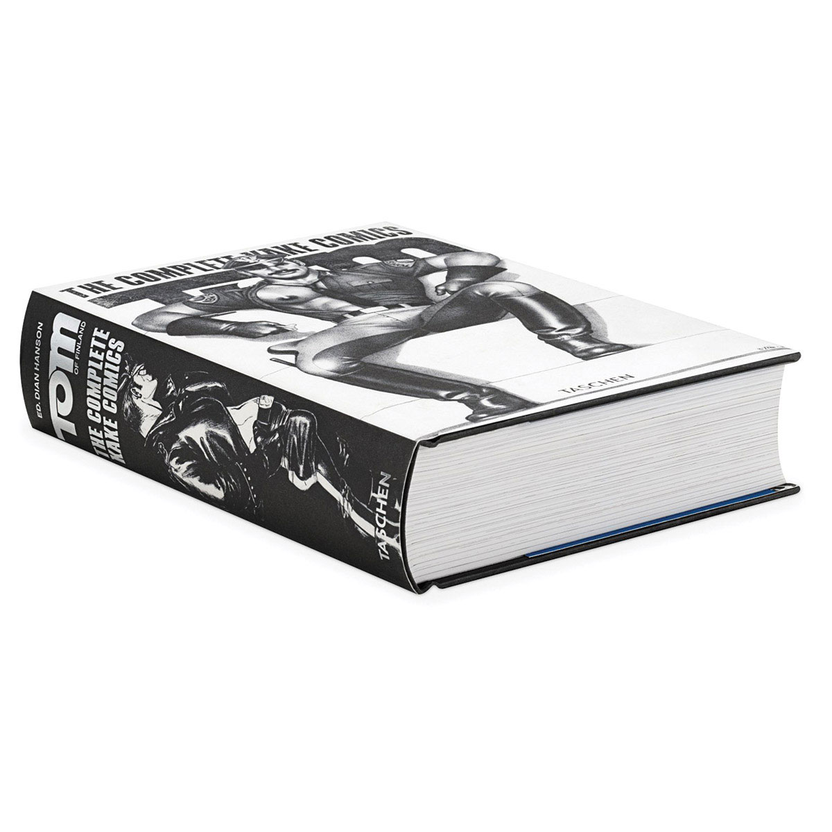 Buy  Tom of Finland: The Complete Kake Comics book for her.