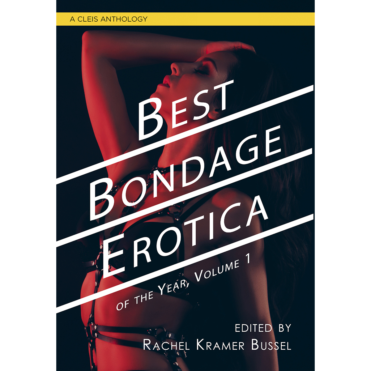 Buy Best Bondage Erotica of the Year Vol 1 book for her.