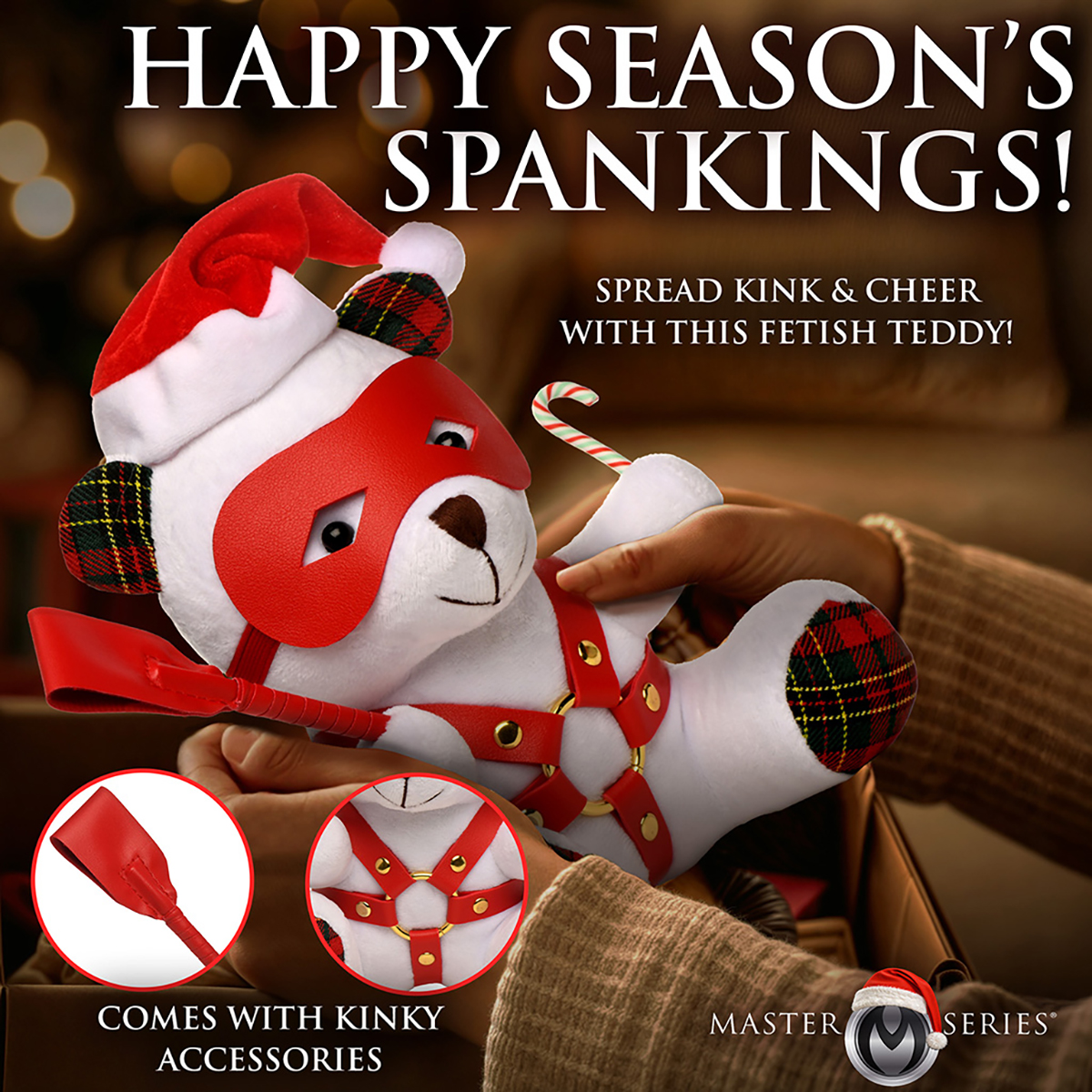 Buy  Master Series Holiday Bondage Bear White book for her.