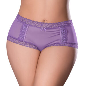 Periwinkle Panties Sheer Passion Cheeky Hipster Boy Short Very Peri Size Q by Magic Silk
