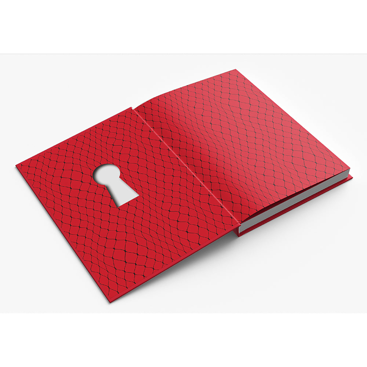 Buy  Pleasure The Keys to Female Sens Delight book for her.