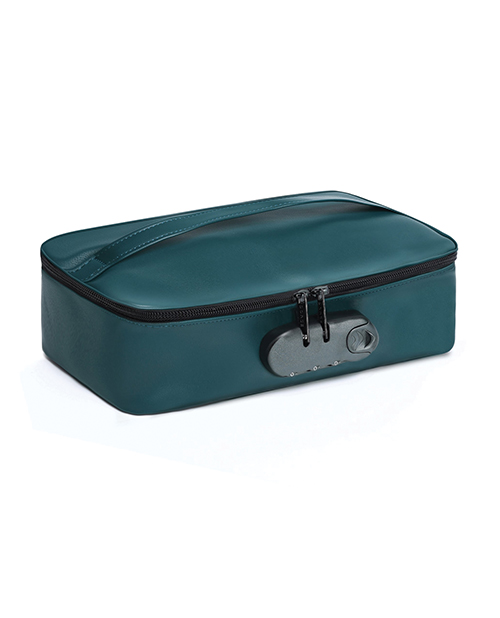 Order Dorcel Lockable Discreet Box - Luxury Green online