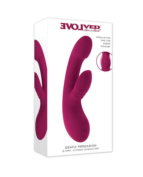 Buy Evolved Gentle Persuasion - Burgundy online
