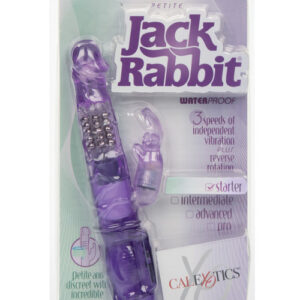 Shop Jack Rabbit Petite - Purple online