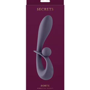 Shop Secrets Forte - Gray online