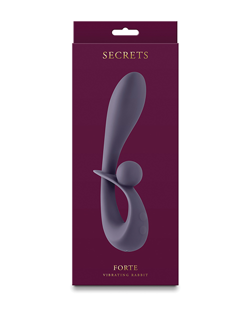 Shop Secrets Forte - Gray online