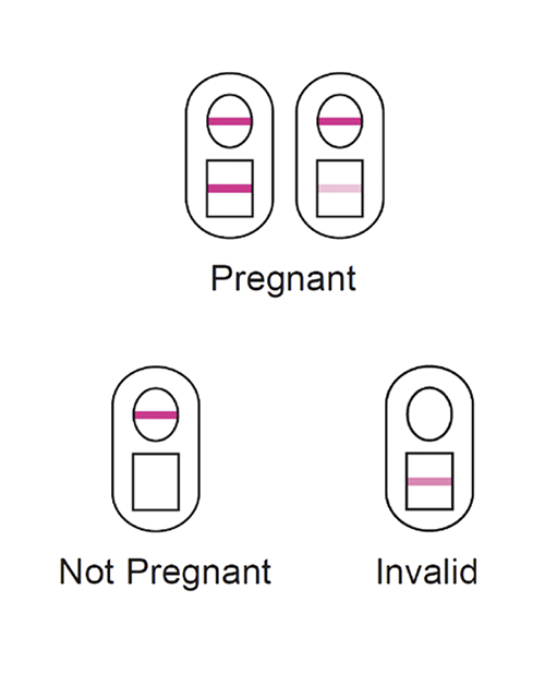 Buy Versea Versea EasyLab Pregnancy Test - Pack of 2